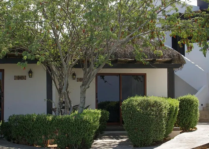 Bed & Breakfast Vista 4*