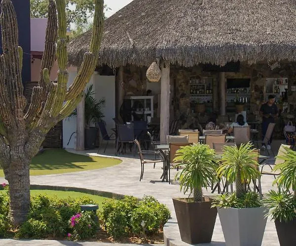 Vista Bed & Breakfast La Ribera